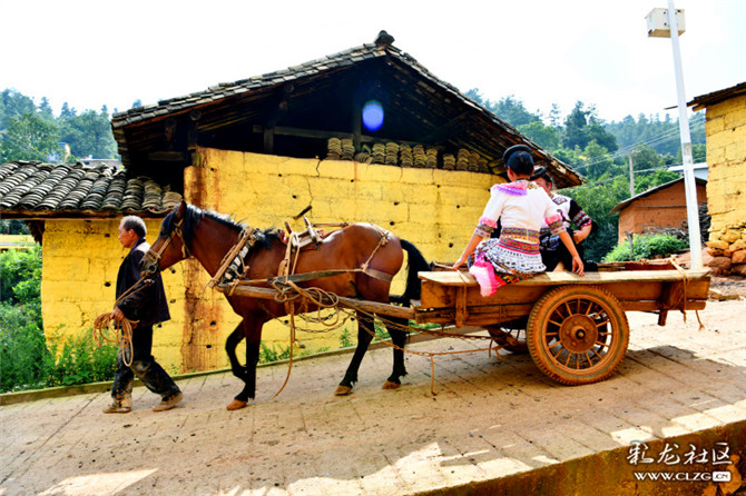 15985065407258863661918559941_76212 15985065407258863661918559941_76212