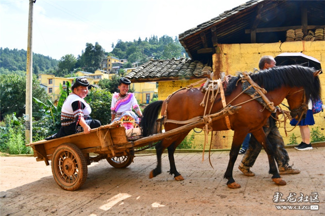 15985065408178089507051544544_762110 15985065408178089507051544544_762110