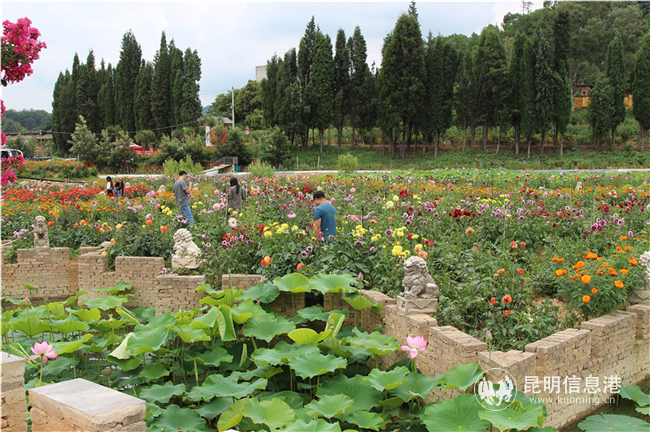 微信圖片_20200828144449 微信圖片_20200828144449