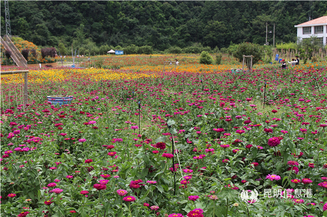 微信圖片_20200828144459 微信圖片_20200828144459