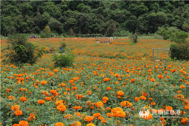 微信圖片_20200828144507 微信圖片_20200828144507