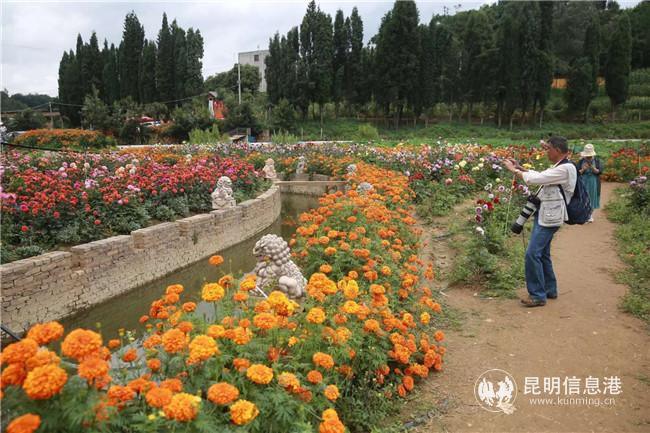 微信圖片_20200828162408 微信圖片_20200828162408