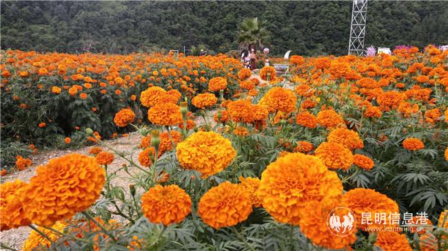 微信圖片_20200828162419 微信圖片_20200828162419