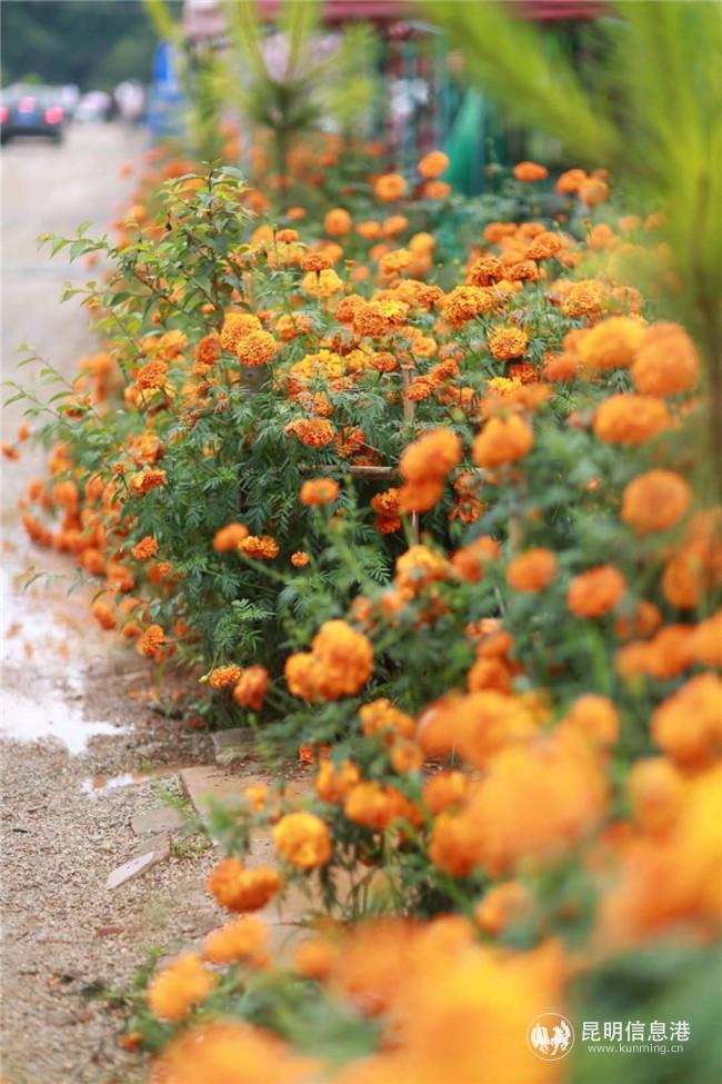 微信圖片_20200828162436 微信圖片_20200828162436