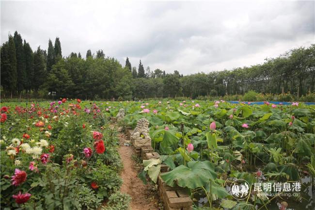 微信圖片_20200828162445 微信圖片_20200828162445