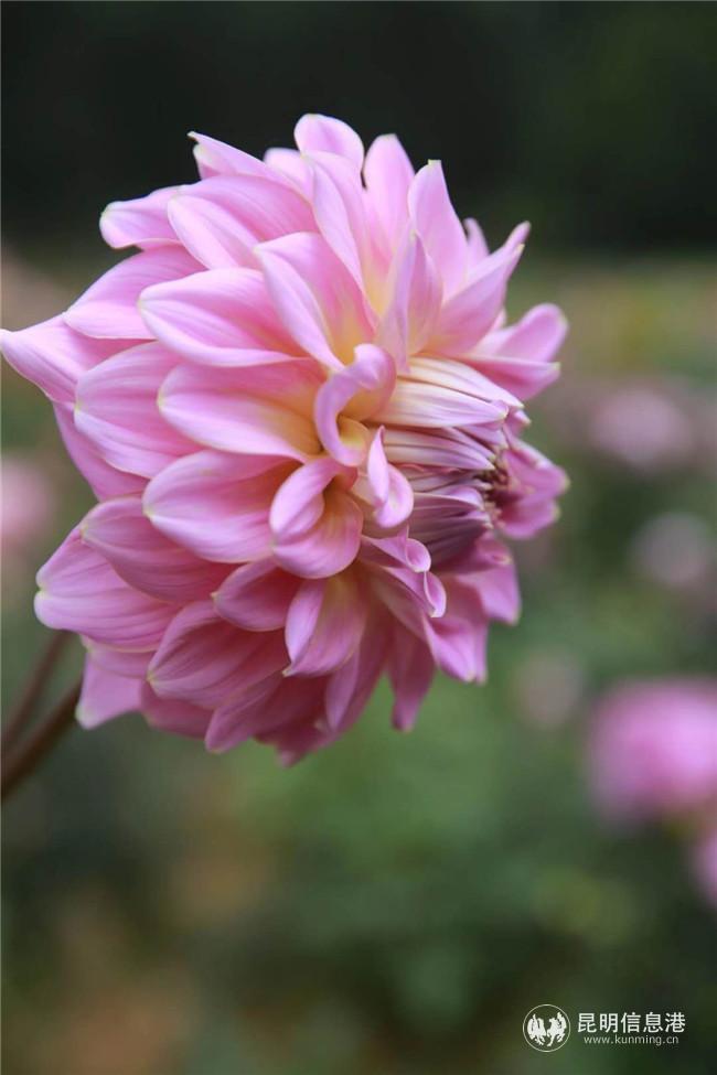 微信圖片_20200828162450 微信圖片_20200828162450