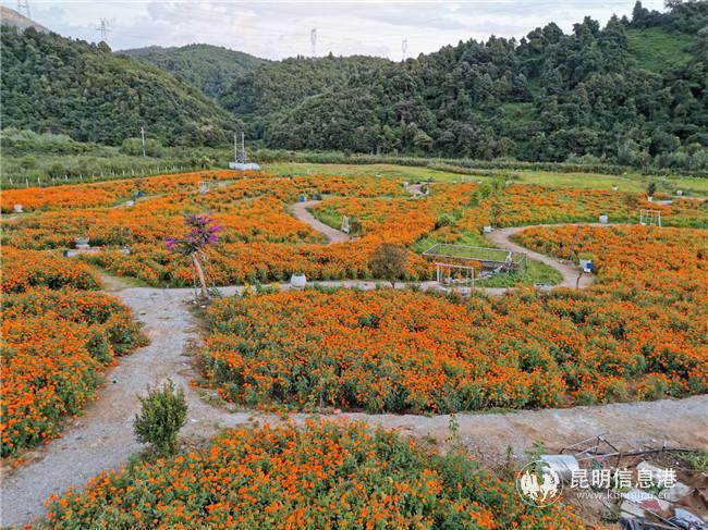 微信圖片_20200828162731 微信圖片_20200828162731