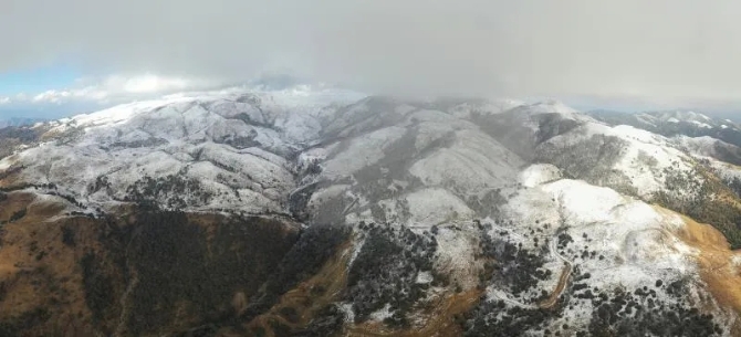 4.webp (1) 4.webp (1)