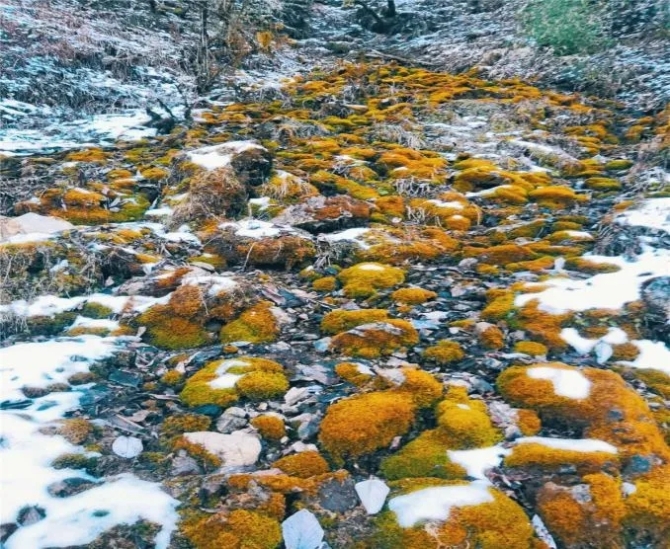 3.webp (1) 3.webp (1)