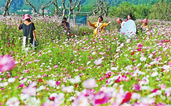 2020083102_res03_attpic_brief 2020083102_res03_attpic_brief