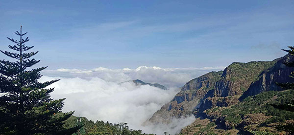 IMG_3006(20200901-130842) IMG_3006(20200901-130842)