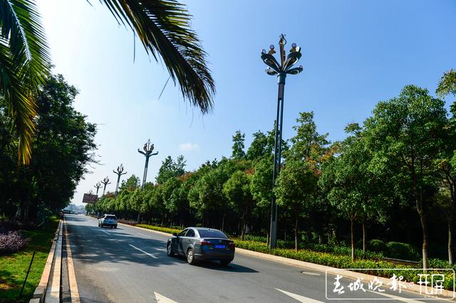 度假區(qū)11條道路整治提升基本完工 龍宇丹 圖 滇池路新增251套“孔雀”華燈 紅塔西路四季鮮花不斷