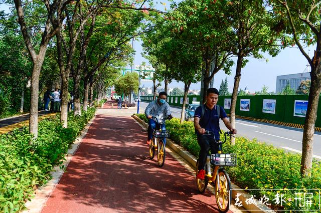 度假區(qū)11條道路整治提升基本完工 龍宇丹 圖 滇池路新增251套“孔雀”華燈 紅塔西路四季鮮花不斷