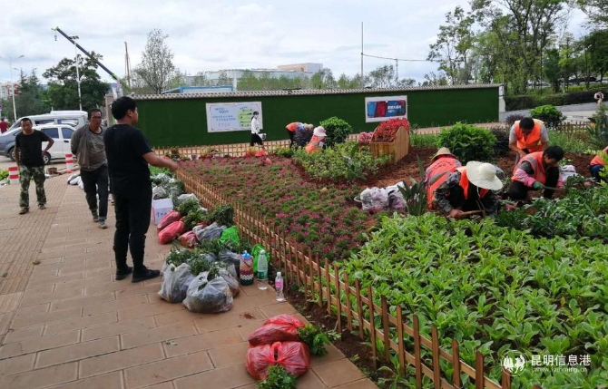 對(duì)城區(qū)邊角空地開展增綠1 對(duì)城區(qū)邊角空地開展增綠1