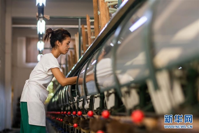 （走向我們的小康生活·圖文互動）（5）遍身羅綺者，亦是養(yǎng)蠶人——云南偏遠邊疆村寨奔小康 