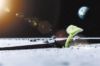 743562_lix_1599212753305_b 743562_lix_1599212753305_b