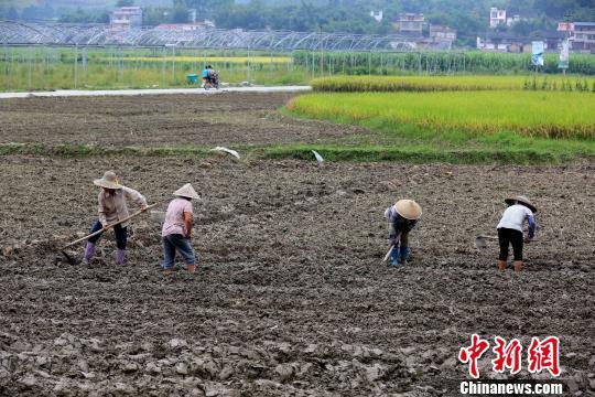 點擊進(jìn)入下一頁