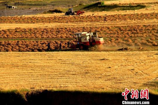 點擊進(jìn)入下一頁