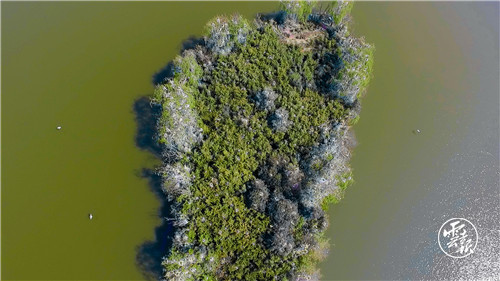 GetAttachment (1).jpg