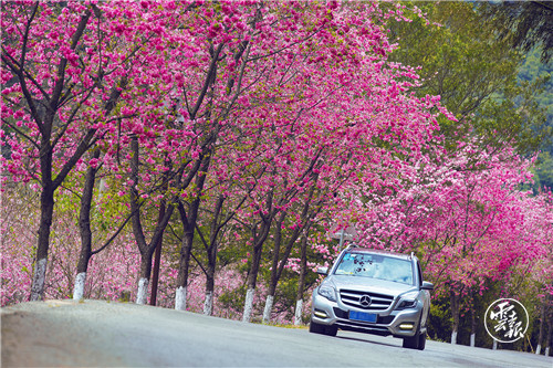 GetAttachment (6).jpg