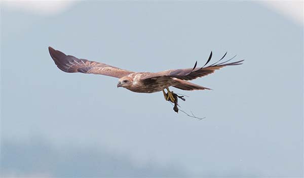 25aa300b-5c41-4baa-9ea0-f8c4b2846be6 25aa300b-5c41-4baa-9ea0-f8c4b2846be6