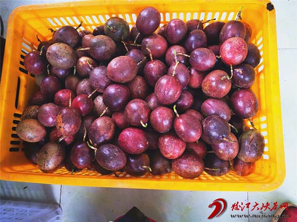 c80f03a7c9b2949d8883a03c9b6c9ac4 c80f03a7c9b2949d8883a03c9b6c9ac4