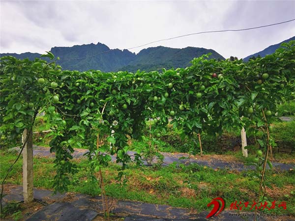 7ba63effbdd6ced75f55a991266bba12 7ba63effbdd6ced75f55a991266bba12