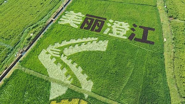 00302341428_8c78f58b 00302341428_8c78f58b