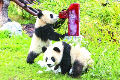 德國(guó)漢學(xué)家勝雅律：從中華文明基因看構(gòu)建后疫情時(shí)代的生態(tài)文明