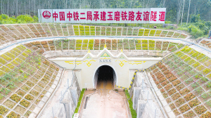 44161600016027187 44161600016027187