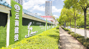 61291600109124476 61291600109124476