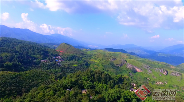 00302380317_c4feda9a 00302380317_c4feda9a