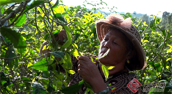 00302380318_568458c5 00302380318_568458c5