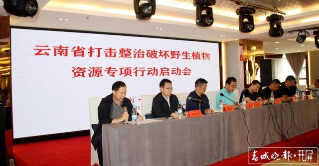 云南啟動(dòng)打擊整治破壞野生植物資源專項(xiàng)行動(dòng)，為期3個(gè)月，緊盯3個(gè)方面！2.jpg