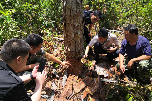 微信圖片_20200916164458.jpg 微信圖片_20200916164458.jpg