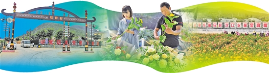 2020091706_res03_attpic_brief 2020091706_res03_attpic_brief