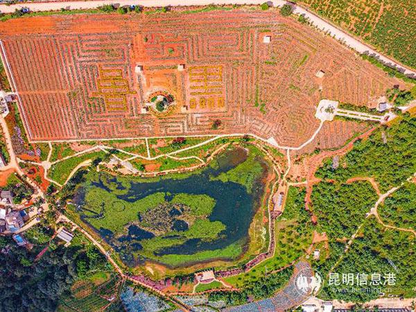 微信圖片_20200917111735