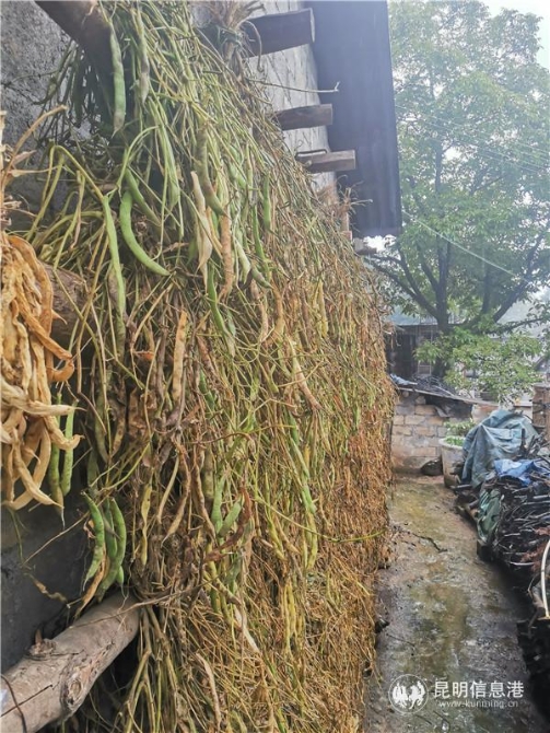 QQ圖片20200917150405