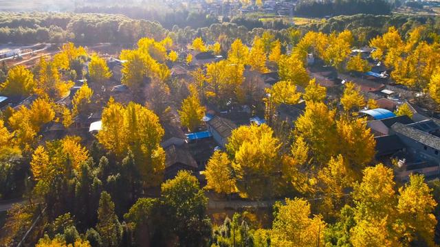 云南再添2個“國字號” 未來有大發(fā)展1.jpg