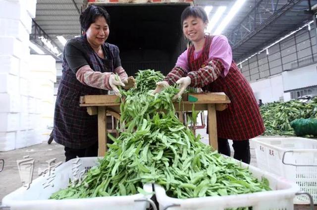 云南再添2個“國字號” 未來有大發(fā)展2.jpg