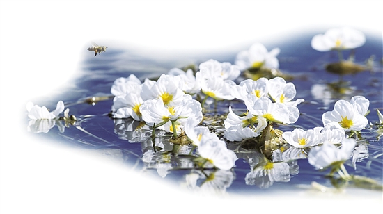 20200922A15_res11_attpic_brief