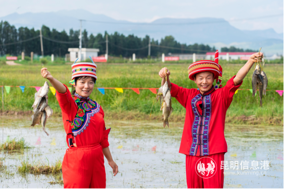 a304697110977d8d04a84c7b42cfaf9 a304697110977d8d04a84c7b42cfaf9