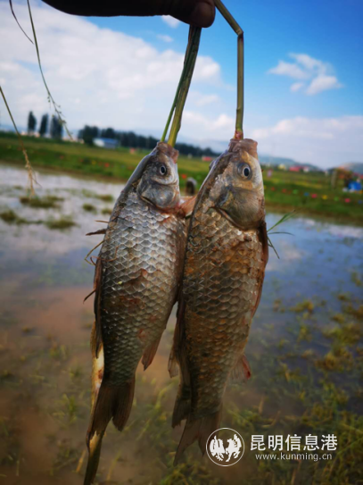 1dd080d25daf96fed39cb47f11f0c7f 1dd080d25daf96fed39cb47f11f0c7f