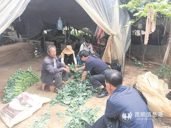 萬亞專8 萬亞專8