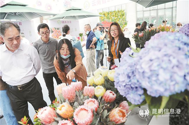 微信圖片_20200922193037 微信圖片_20200922193037