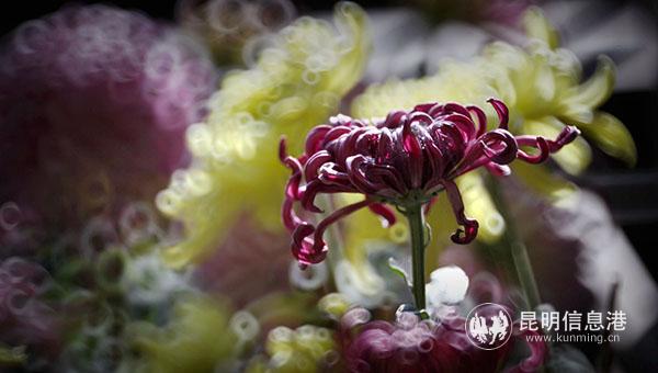 mmexport1600777164360