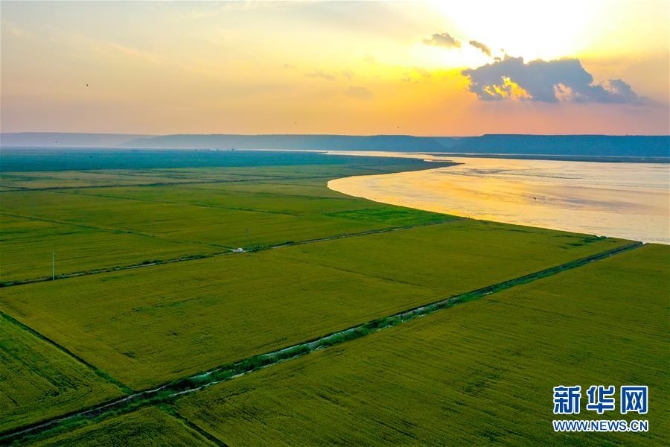 （新華全媒頭條·圖文互動(dòng)）（4）天道酬勤的大地贊歌——寫(xiě)在第三個(gè)中國(guó)農(nóng)民豐收節(jié)之際