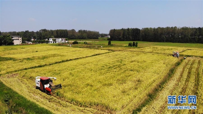 （新華全媒頭條·圖文互動(dòng)）（11）天道酬勤的大地贊歌——寫(xiě)在第三個(gè)中國(guó)農(nóng)民豐收節(jié)之際