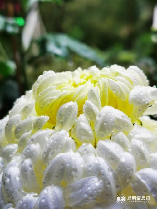 微信圖片_20200923171101 微信圖片_20200923171101