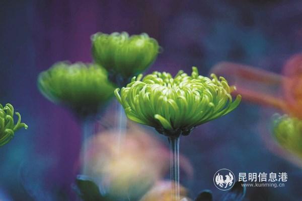 微信圖片_20200923155229